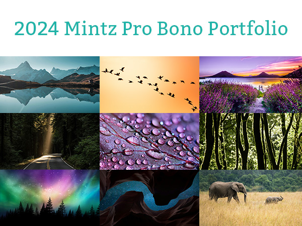 2024 Mintz Pro Bono Portfolio