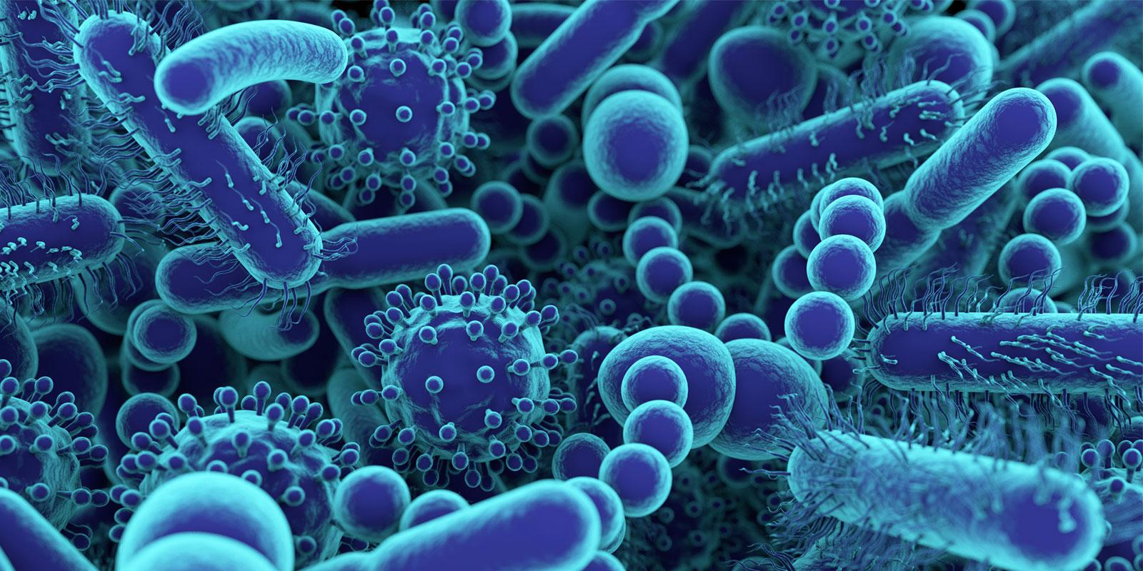 Микробы и их токсины